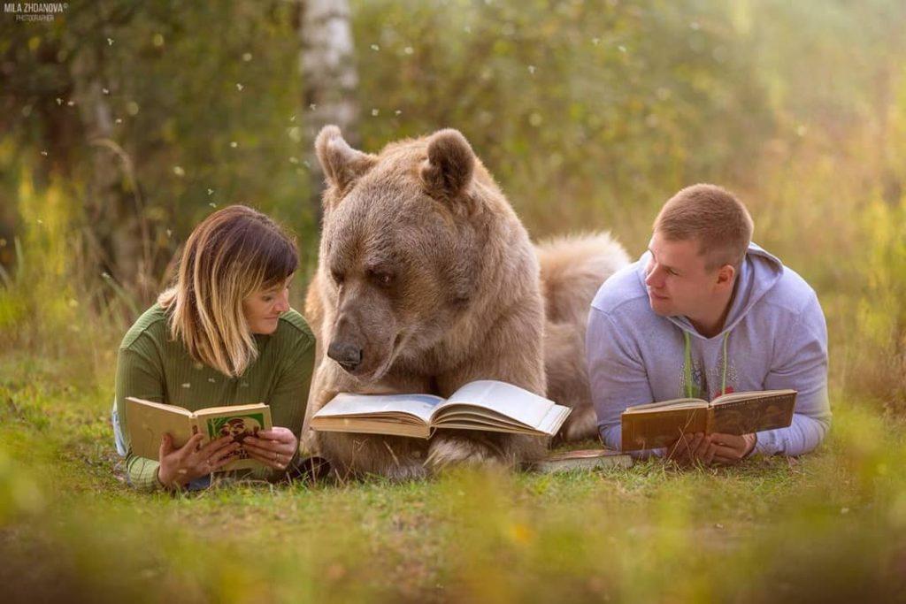 Медведь читает картинка. Медведь читает. Медведь семён фотосессия. Медведь читает книжку. Мишка Степан.