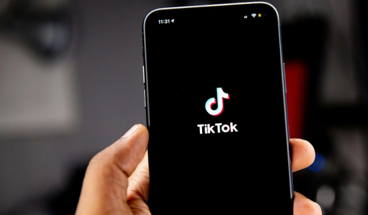 Dhuna në shkollën e Hajvalisë  Vepruan si në Tik tok  ndëshkohen nxënësit